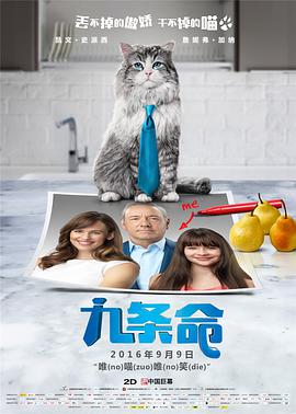 骚片视频