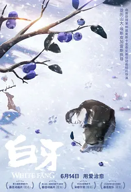 秘密的想法